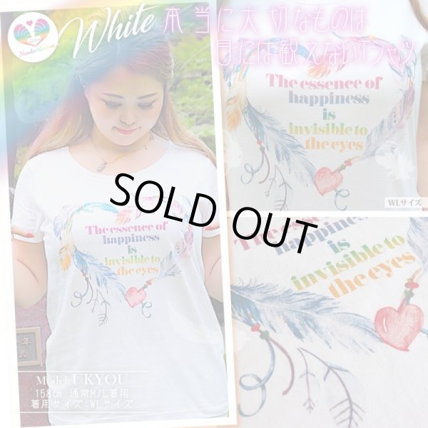 画像3: truth【真理】本当に大切なものは目には観えないTシャツ（白・黒・グレー） (3)