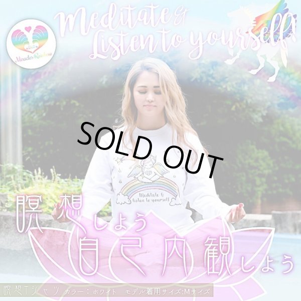 画像5: 2018秋新作「瞑想＆自己内観ペガコ☆ロングTシャツ」３色展開 (5)